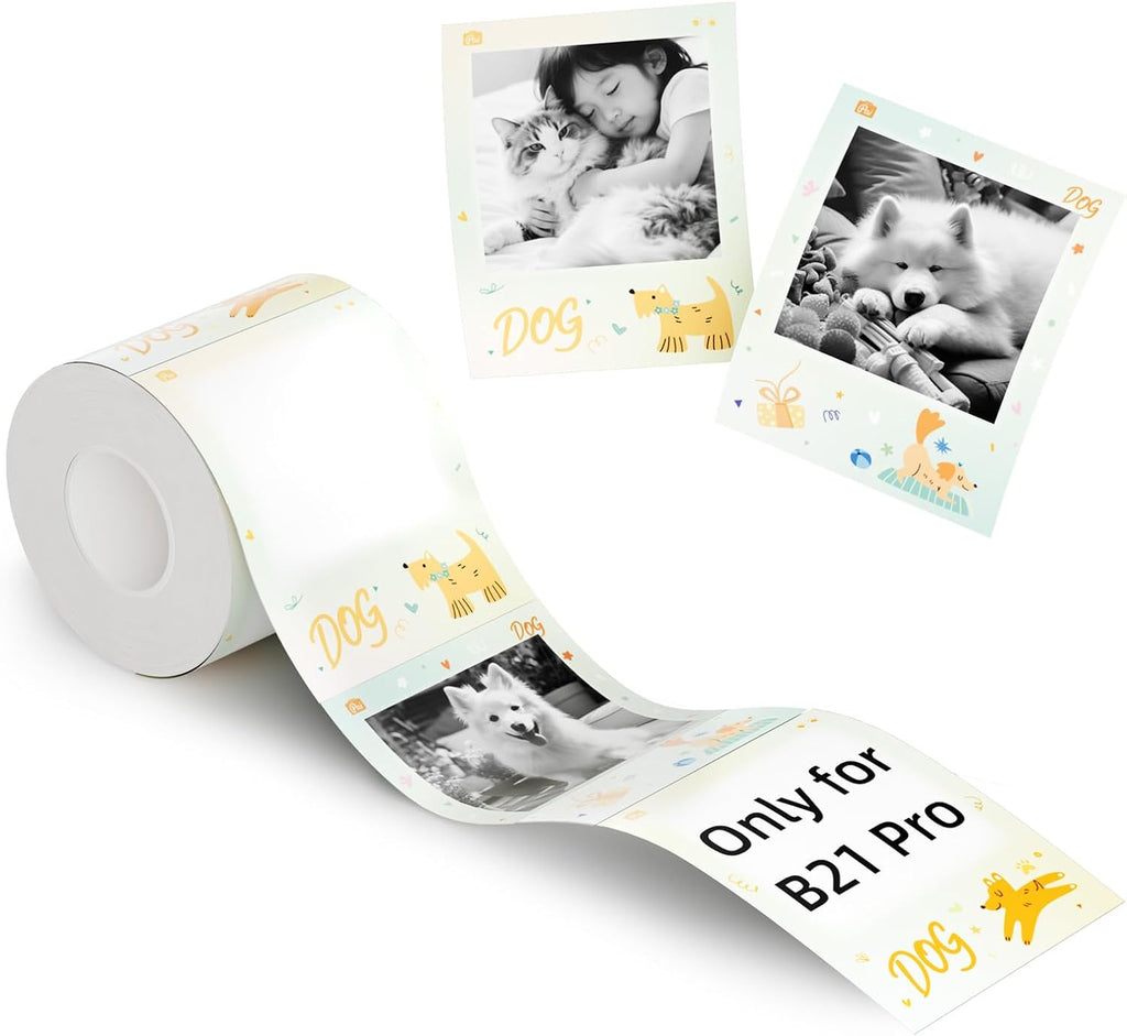NIIMBOT B21 Pro Portable Label Printer (Includes 6 rolls of different label paper + 6 magnetic acrylic photo frames)