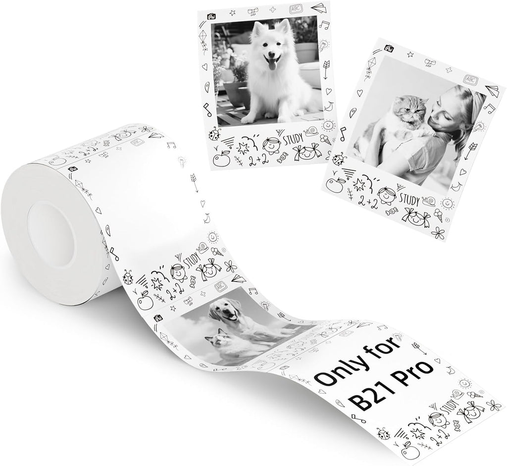 NIIMBOT B21 Pro Portable Label Printer (Includes 6 rolls of different label paper + 6 magnetic acrylic photo frames)