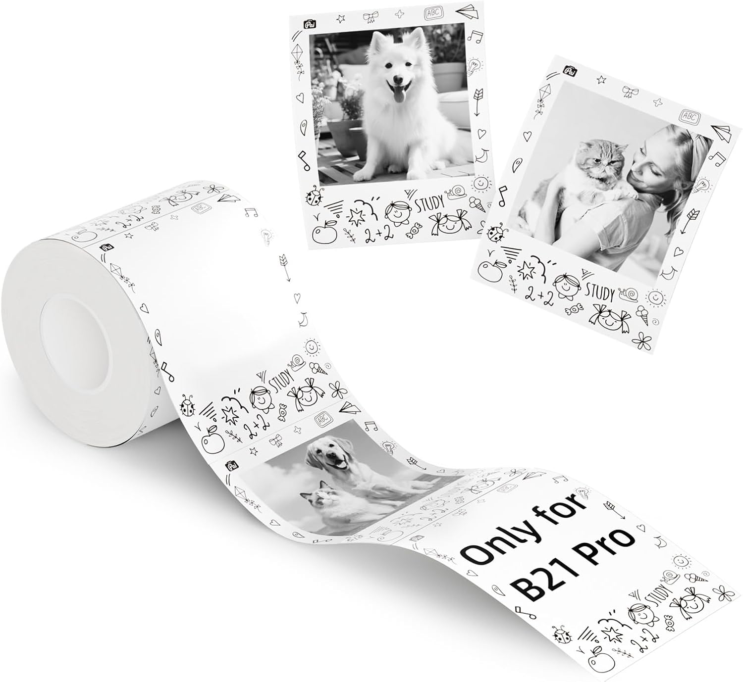 NIIMBOT B21 Pro Portable Label Printer (Includes 6 rolls of different label paper + 6 magnetic acrylic photo frames)