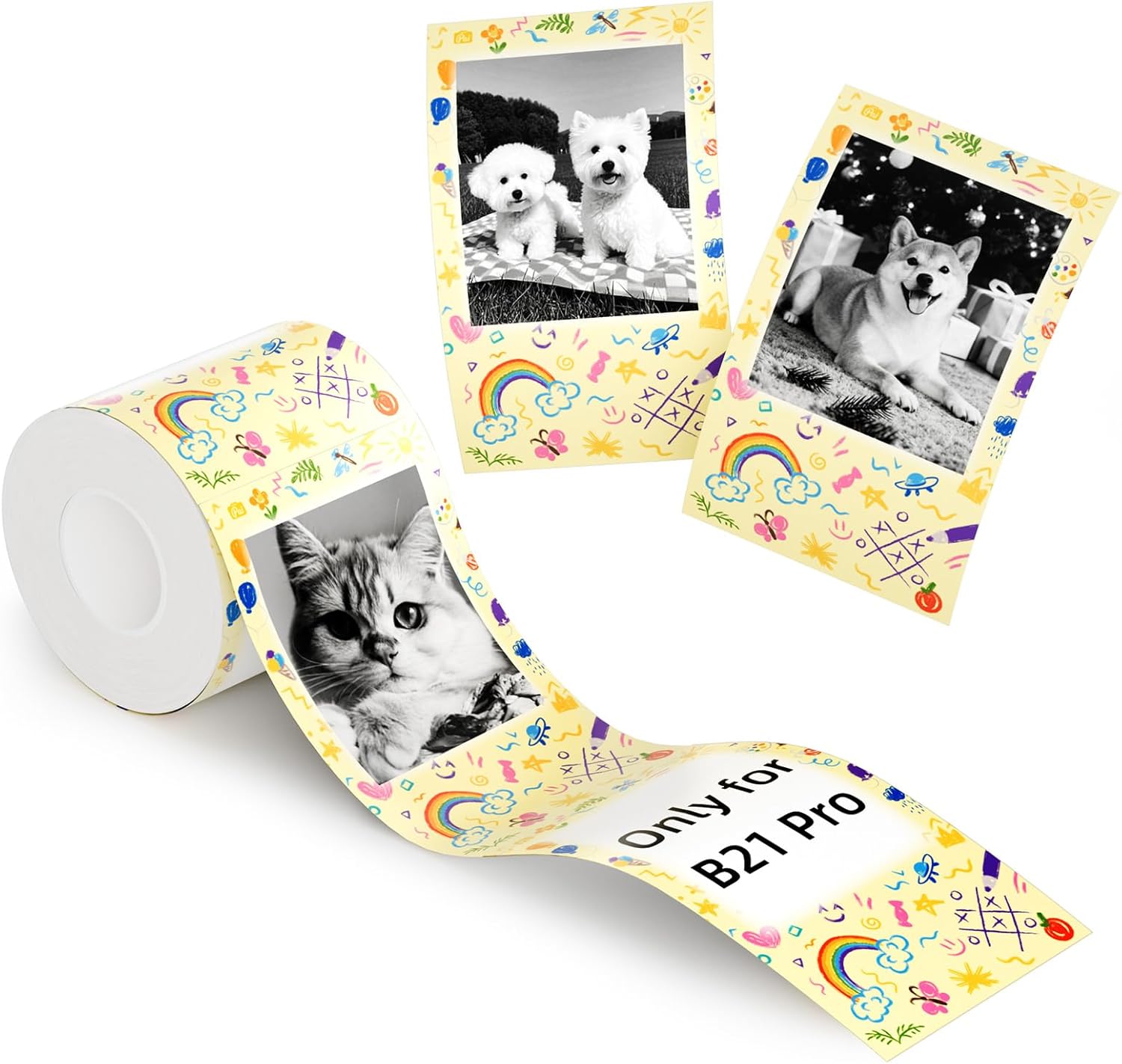 NIIMBOT B21 Pro Portable Label Printer (Includes 6 rolls of different label paper + 6 magnetic acrylic photo frames)