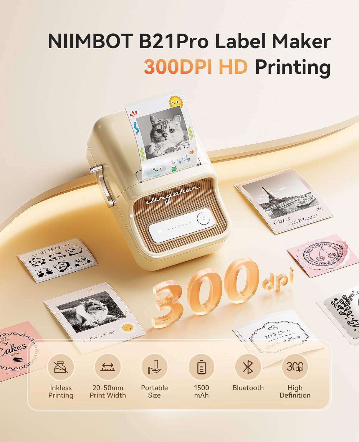 NIIMBOT B21 Pro Portable Label Printer (Includes 6 rolls of different label paper + 6 magnetic acrylic photo frames)