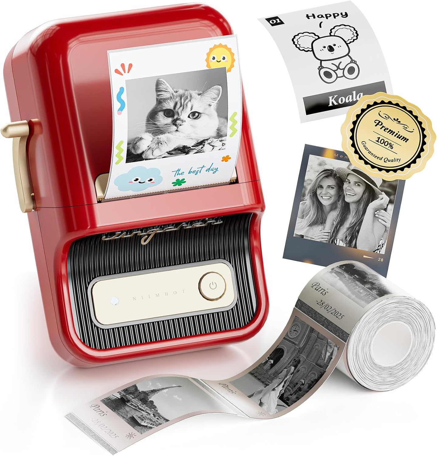 NIIMBOT B21 Pro Portable Label Printer (Includes 6 rolls of different label paper + 6 magnetic acrylic photo frames)